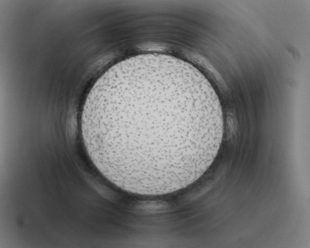 X0000116000541200912312116