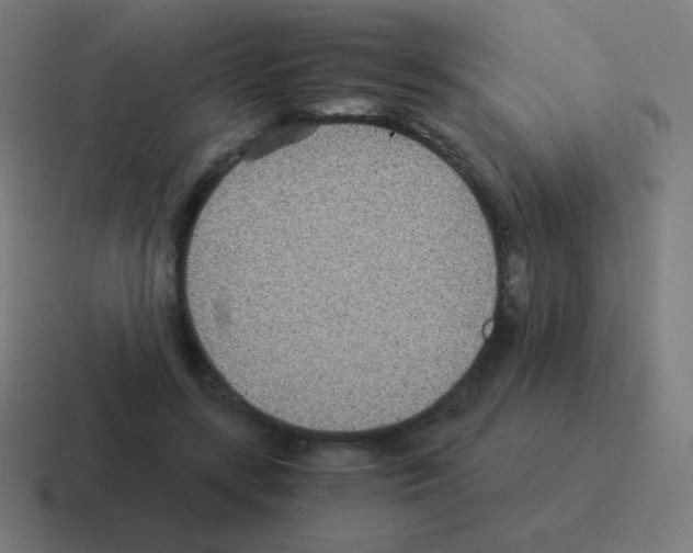 X0000116000547200912312116