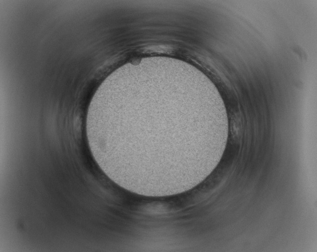 X0000116000551200912312116