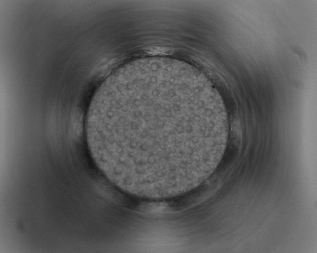 X0000116000554200912312116