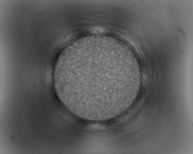 X0000116000561200912312116