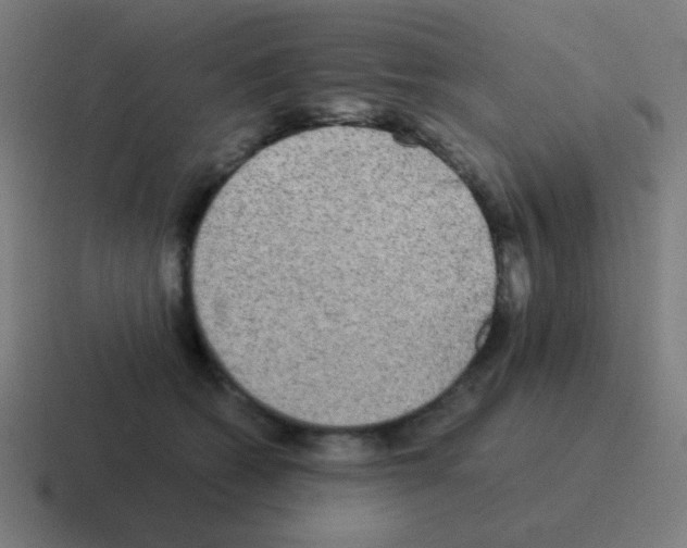 X0000116000562200912312116
