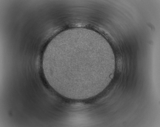 X0000116000594200912312116