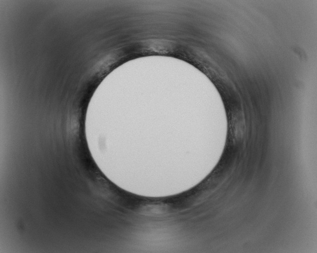 X0000116000595200912312115