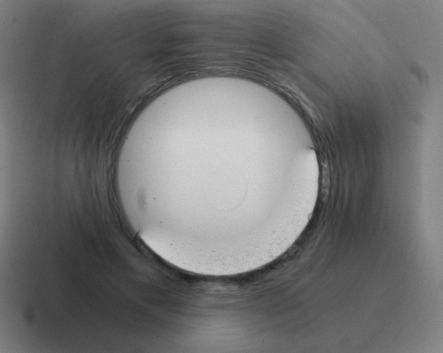X0000116000597200912312115