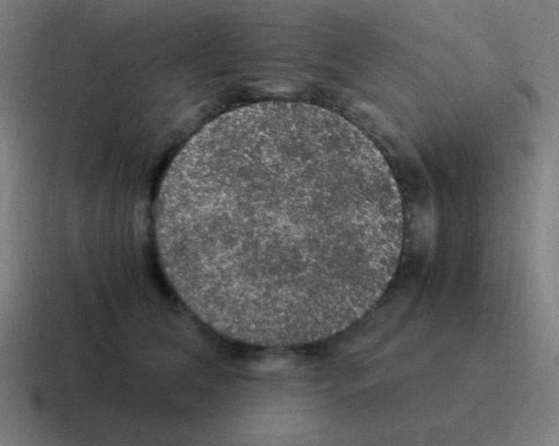 X0000116000612200912312115