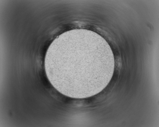 X0000116000615200912312115