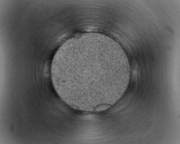 X0000116000620200912312115