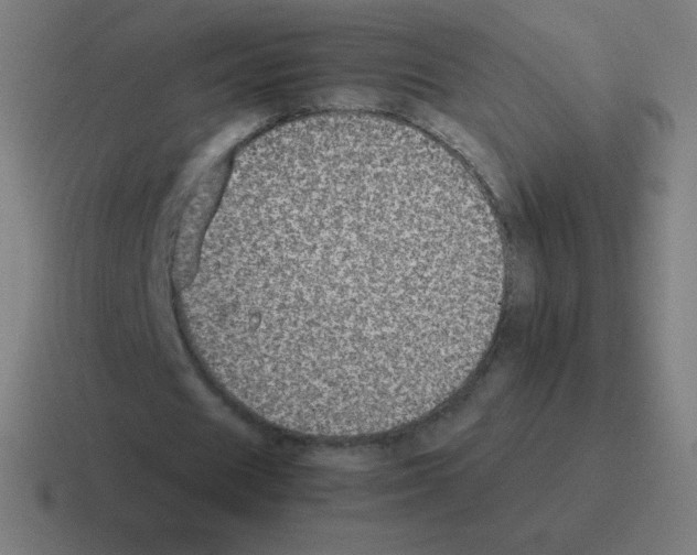 X0000116000625200912312115