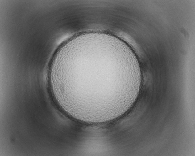 X0000116000632200912312115