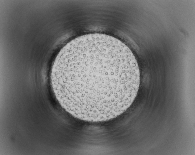 X0000116000635200912312115