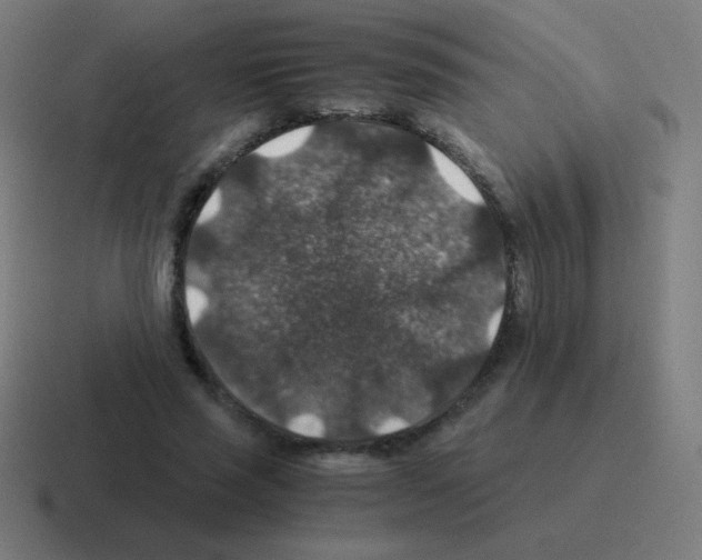 X0000116000637200912312115