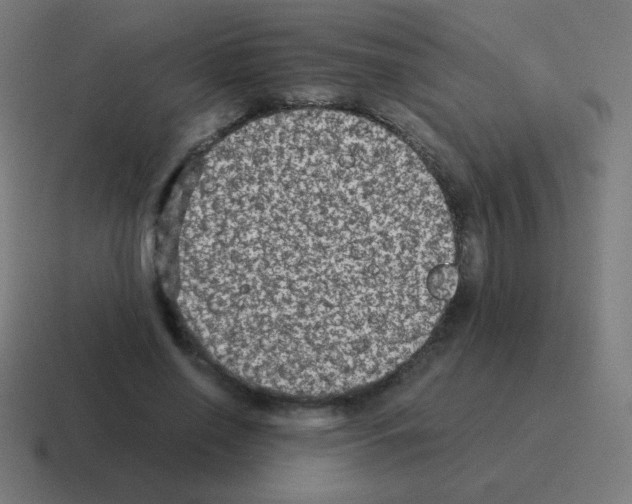 X0000116000638200912312115