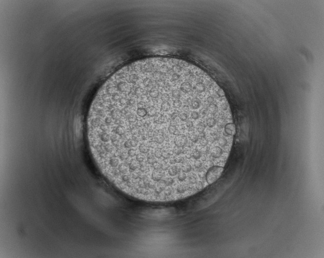 X0000116000646200912312115