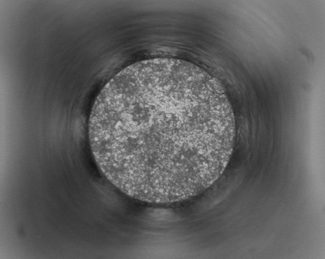 X0000116000649200912312115