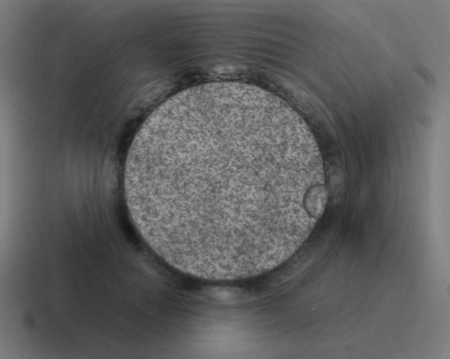 X0000116000654200912312115