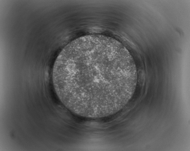 X0000116000655200912312115