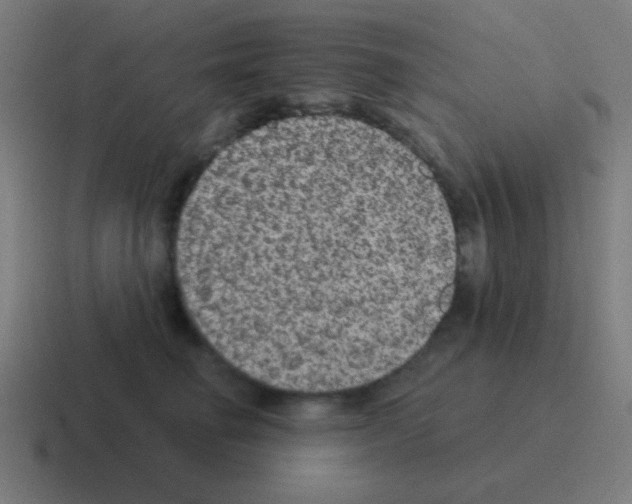 X0000116000662200912312115