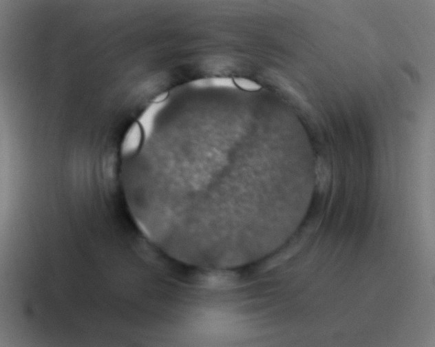 X0000116000670200912312115