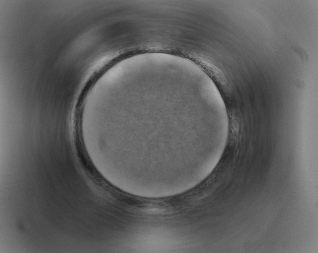 X0000116000678200912312114