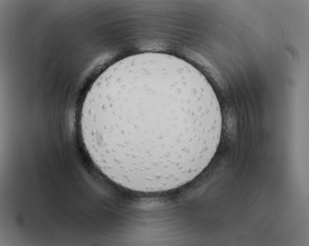 X0000116000686200912312114