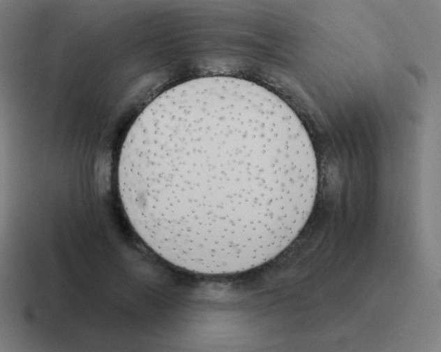 X0000116000694200912312114