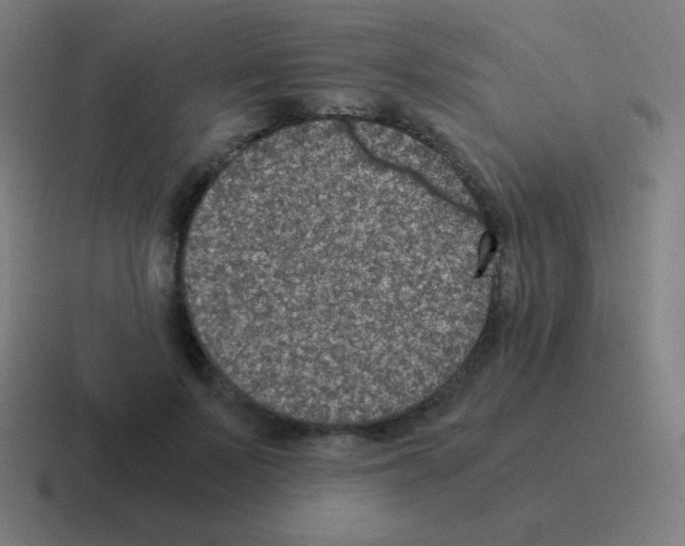 X0000116000695200912312114
