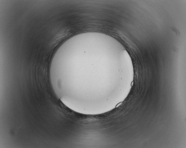 X0000116000696200912312114
