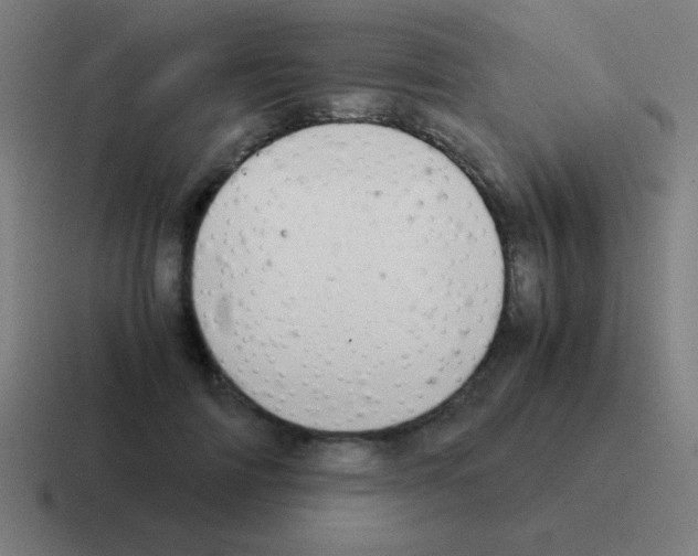 X0000116000698200912312114