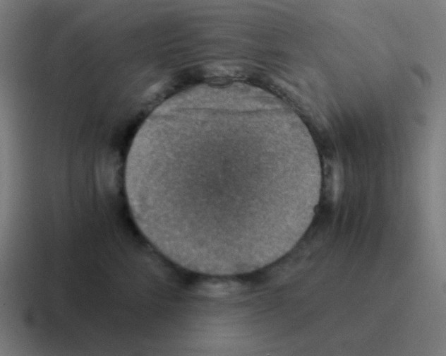X0000116000712200912312114