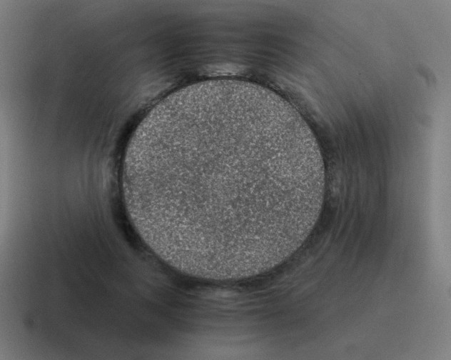 X0000116000743200912312114