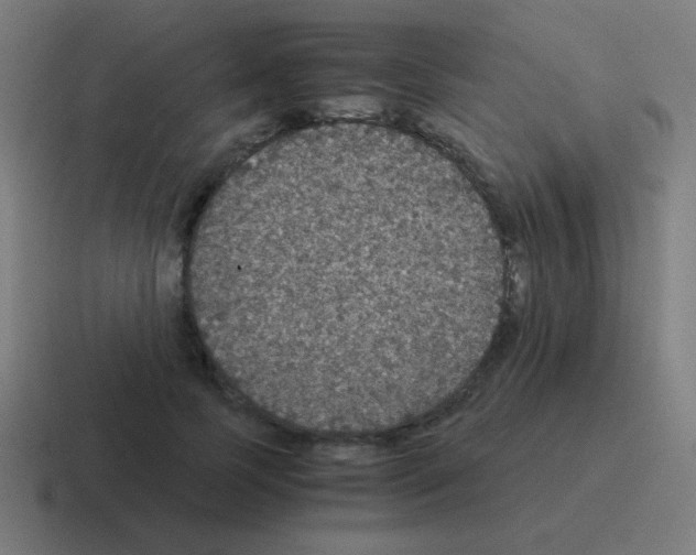 X0000116000745200912312114