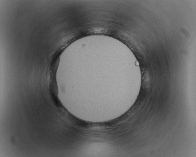 X0000116000746200912312114