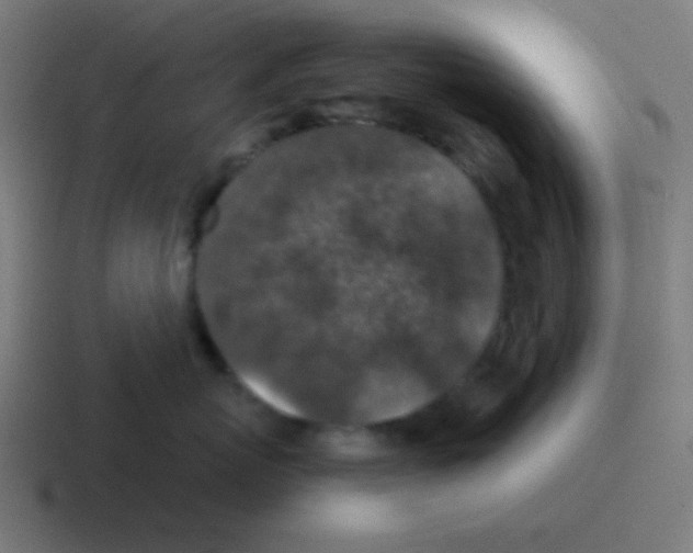 X0000116000767200912312114