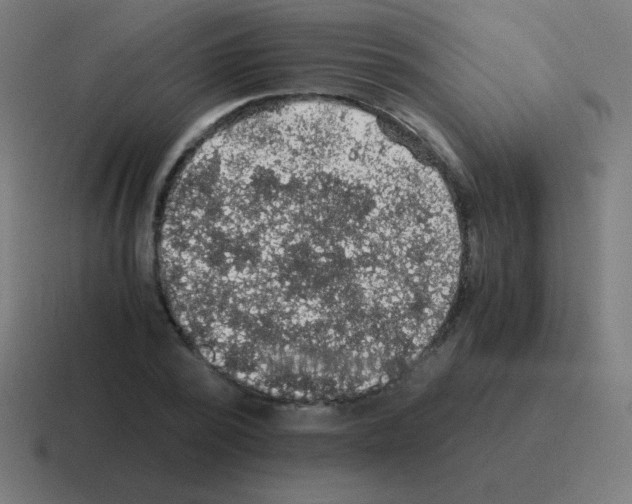 X0000116000784200912312113
