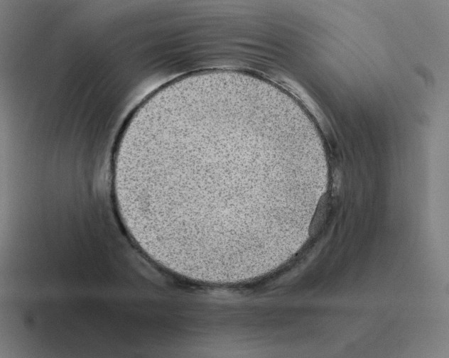 X0000116000787200912312113