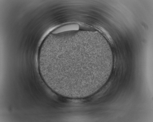 X0000116000796200912312113