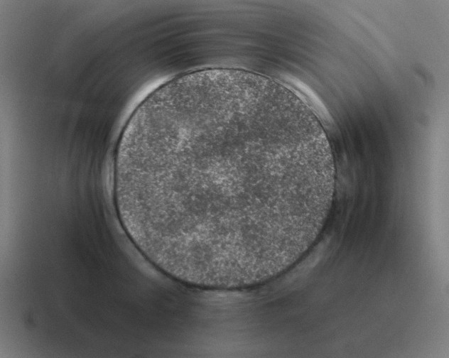 X0000116000804200912312113