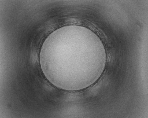 X0000116000820200912312112