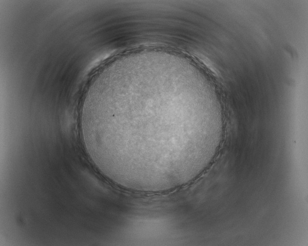 X0000116000824200912312112