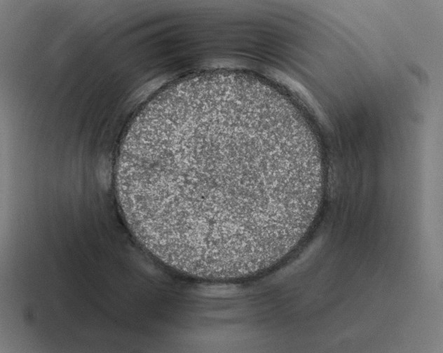 X0000116000833200912312112