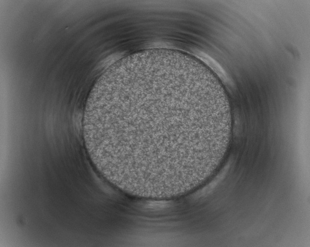 X0000116000849200912312113