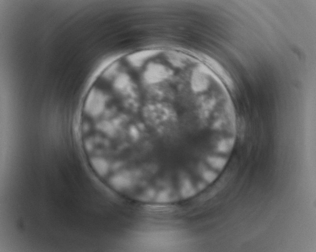 X0000116000863200912312113