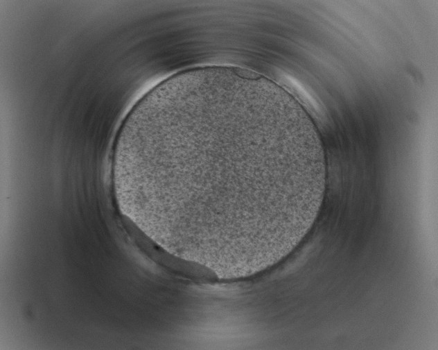 X0000116000900200912312112