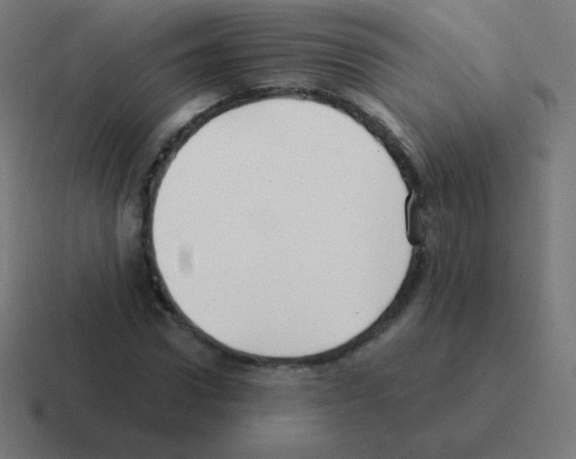X0000116000922200912312111