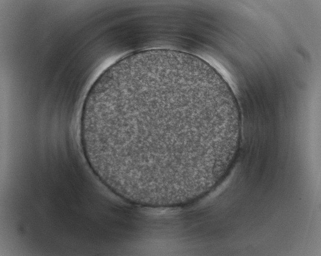 X0000116000949200912312111