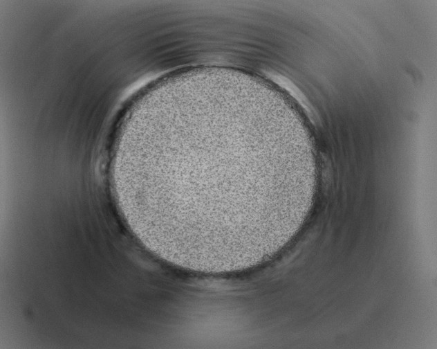 X0000116000971200912312111