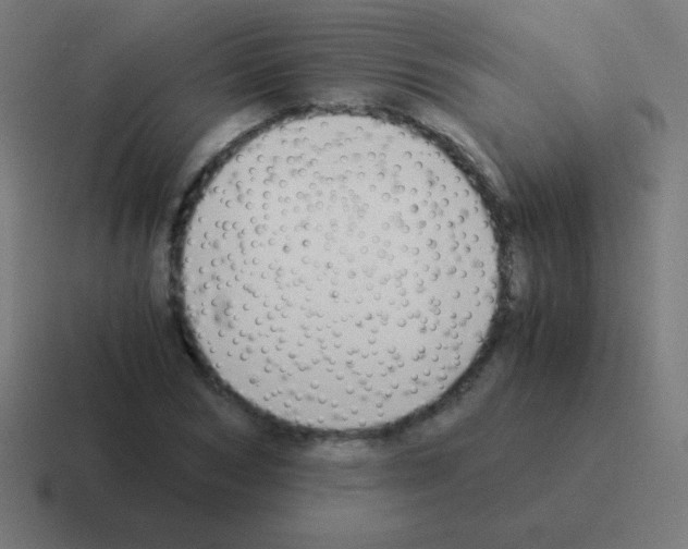 X0000116000978200912312111