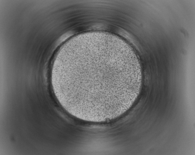 X0000116001026200912312110