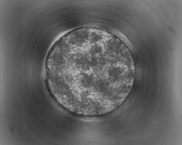 X0000116001036200912312110